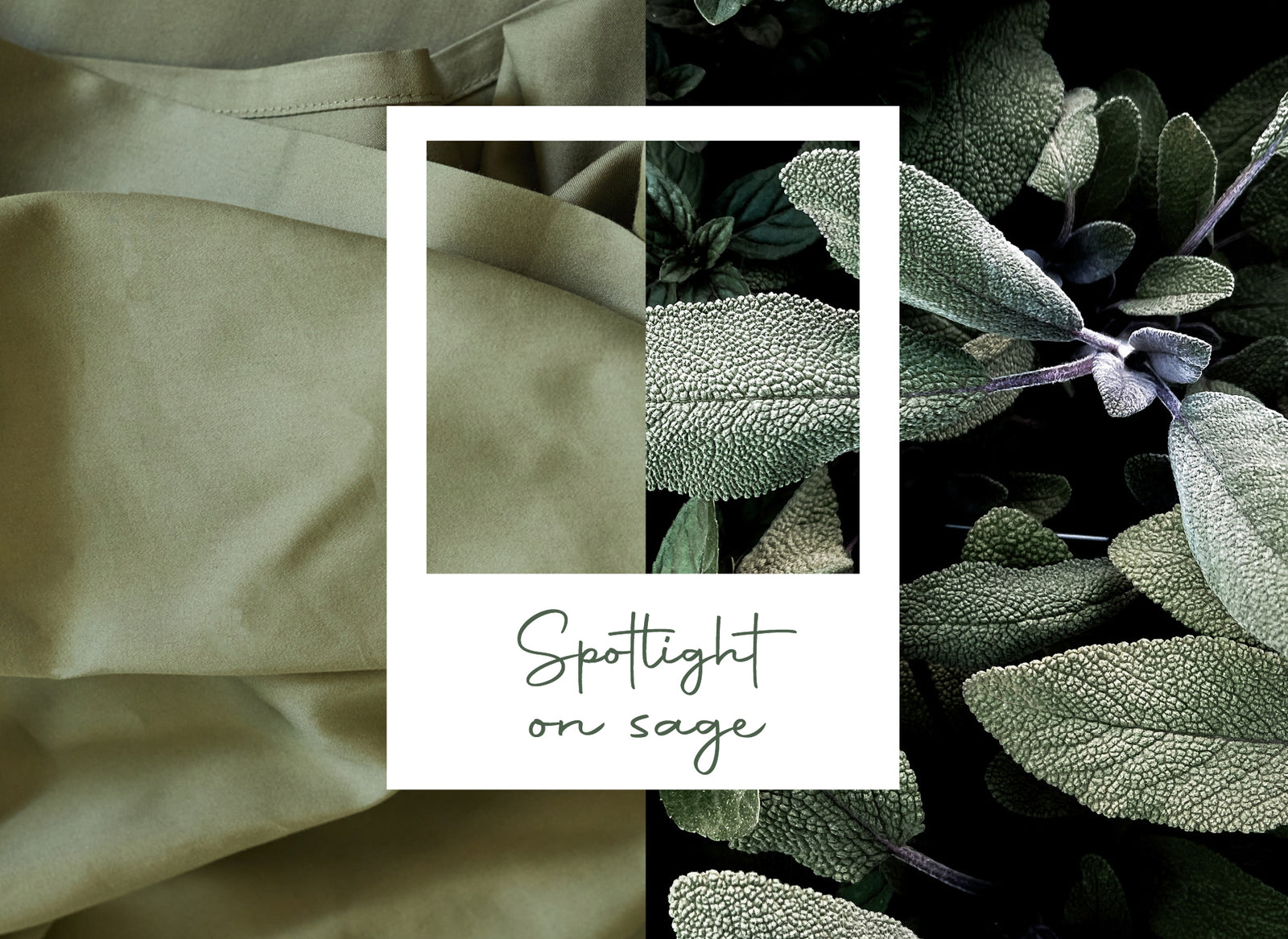 🌿 Home-Decorating #Inspo: Spotlight on Sage Green